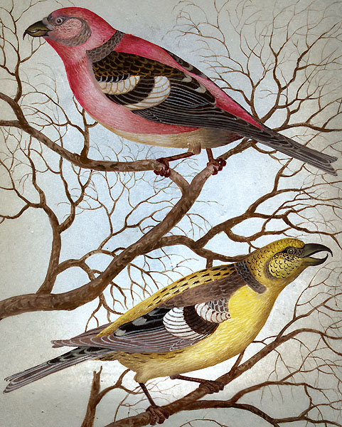 Loading, please wait