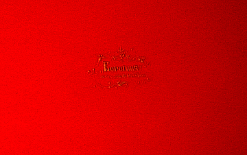 Loading, please wait