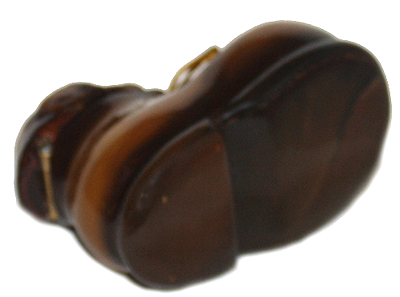 Loading, please wait