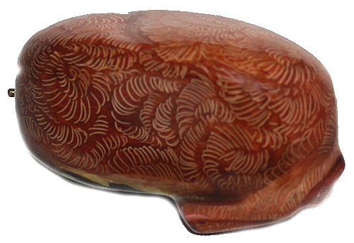 Loading, please wait