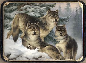 The wolf family