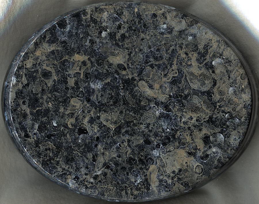 Loading, please wait